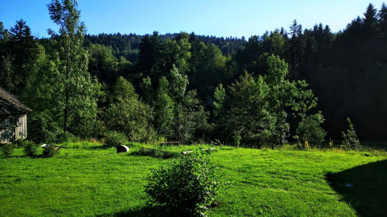 Wies Odnowa Łabowa Exteriör bild