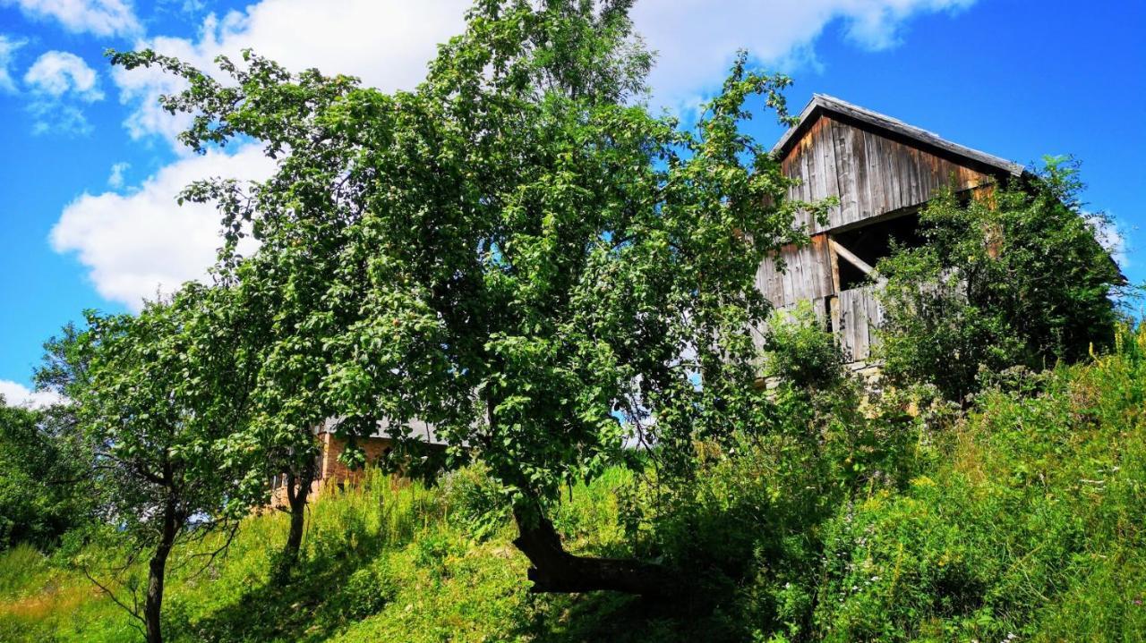 Wies Odnowa Łabowa Exteriör bild